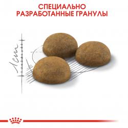 Royal Canin Indoor Long Hair Корм сухой сбалансированный для взрослых длинношерстных кошек, живущих в помещении