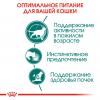 Royal Canin Instinctive 7+ Корм консервированный для кошек старше 7 лет (мелкие кусочки в соусе), 85г