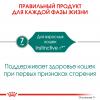 Royal Canin Instinctive 7+ Корм консервированный для кошек старше 7 лет (мелкие кусочки в соусе), 85г