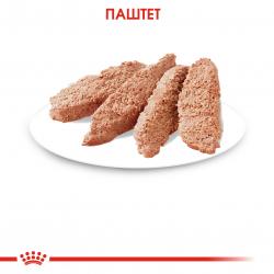 Royal Canin Instinctive Корм консервированный для взрослых кошек в паштете, 85г
