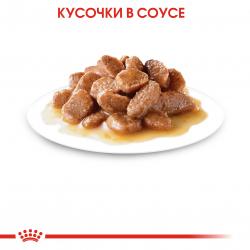Royal Canin Instinctive Корм консервированный для взрослых кошек, соус, 85г