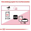 Royal Canin Instinctive Корм консервированный для взрослых кошек, соус, 85г