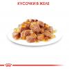 Royal Canin Instinctive Корм консервированный для взрослых кошек, желе, 85г