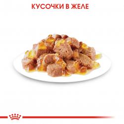 Royal Canin Instinctive Корм консервированный для взрослых кошек, желе, 85г