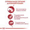 Royal Canin Instinctive Корм консервированный для взрослых кошек, желе, 85г