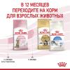 Royal Canin Kitten Sterilised Корм сухой сбалансированный для стерилизованных котят до 12 месяцев
