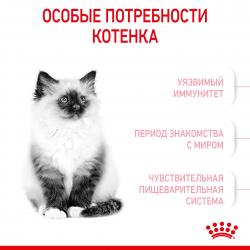 Royal Canin Kitten Корм сухой сбалансированный для котят в период второй фазы роста до 12 месяцев