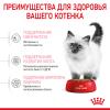 Royal Canin Kitten Корм сухой сбалансированный для котят в период второй фазы роста до 12 месяцев