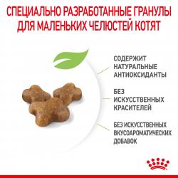 Royal Canin Kitten Корм сухой сбалансированный для котят в период второй фазы роста до 12 месяцев