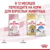 Royal Canin Kitten Корм сухой сбалансированный для котят в период второй фазы роста до 12 месяцев