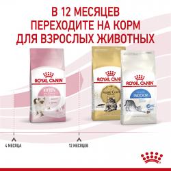 Royal Canin Kitten Корм сухой сбалансированный для котят в период второй фазы роста до 12 месяцев