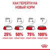 Royal Canin Kitten Корм сухой сбалансированный для котят в период второй фазы роста до 12 месяцев