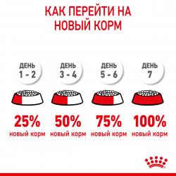 Royal Canin Kitten Корм сухой сбалансированный для котят в период второй фазы роста до 12 месяцев