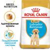 Royal Canin Labrador Retriever Puppy Корм сухой для щенков породы лабрадор ретривер до 15 месяцев
