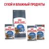 Royal Canin Light Weight Care Корм сухой для взрослых кошек для профилактики лишнего веса