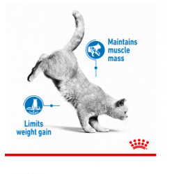 ROYAL CANIN Light Weight Care в соусе (для кошек, склонных к полноте старше) 85г х 24 шт