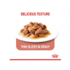 ROYAL CANIN Light Weight Care в соусе (для кошек, склонных к полноте старше) 85г х 24 шт