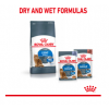 ROYAL CANIN Light Weight Care в соусе (для кошек, склонных к полноте старше) 85г х 24 шт