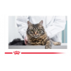 ROYAL CANIN Light Weight Care в соусе (для кошек, склонных к полноте старше) 85г х 24 шт