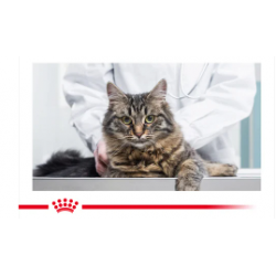 ROYAL CANIN Light Weight Care в соусе (для кошек, склонных к полноте старше) 85г х 24 шт