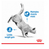 ROYAL CANIN Light Weight Care в желе (для кошек, склонных к полноте старше) 85г х 24 шт
