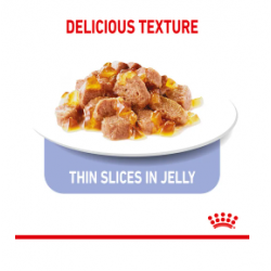 ROYAL CANIN Light Weight Care в желе (для кошек, склонных к полноте старше) 85г х 24 шт
