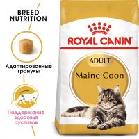 Royal Canin Maine Coon Adult Корм сухой сбалансированный для взрослых кошек породы Мэйн Кун