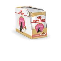 Royal Canin Maine Coon Kitten Корм консервированный для котят породы Мэйн Кун до 15 месяцев, соус, 85г 