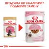Royal Canin Maine Coon Kitten Корм консервированный для котят породы Мэйн Кун до 15 месяцев, соус, 85г 