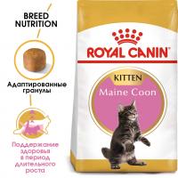 Royal Canin Maine Coon Kitten Корм сухой сбалансированный для котят породы Мэйн Кун
