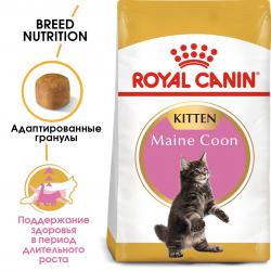 Royal Canin Maine Coon Kitten Корм сухой сбалансированный для котят породы Мэйн Кун