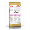 Royal Canin Maine Coon Kitten Корм сухой сбалансированный для котят породы Мэйн Кун