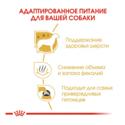 Royal Canin Maltese корм для  Мальтийской болонки