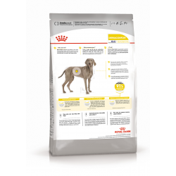 Royal Canin Maxi Dermacomfort Корм сухой для взрослых собак крупных размеров при раздражениях и зуде кожи