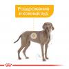 Royal Canin Maxi Dermacomfort Корм сухой для взрослых собак крупных размеров при раздражениях и зуде кожи
