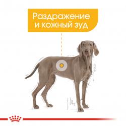 Royal Canin Maxi Dermacomfort Корм сухой для взрослых собак крупных размеров при раздражениях и зуде кожи