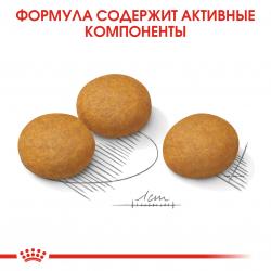 Royal Canin Maxi Dermacomfort Корм сухой для взрослых собак крупных размеров при раздражениях и зуде кожи