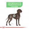 Royal Canin Maxi Digestive Care Корм сухой для взрослых собак средних размеров с чувствительным пищеварением
