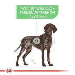 Royal Canin Maxi Digestive Care Корм сухой для взрослых собак средних размеров с чувствительным пищеварением