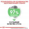 Royal Canin Maxi Digestive Care Корм сухой для взрослых собак средних размеров с чувствительным пищеварением