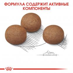 Royal Canin Maxi Digestive Care Корм сухой для взрослых собак средних размеров с чувствительным пищеварением