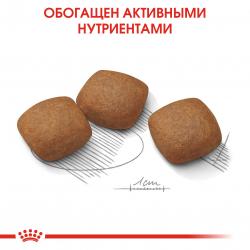 Royal Canin Maxi Joint Care Корм сухой для взрослых собак крупных размеров с повышенной чувствительностью суставов