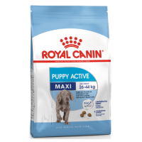 Royal Canin Maxi Junior Active (для активных щенков до 15 месяцев)