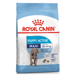 Royal Canin Maxi Junior Active (для активных щенков до 15 месяцев)