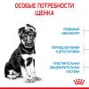 Royal Canin Maxi Puppy Корм сухой для щенков крупных размеров в возрасте до 15 месяцев