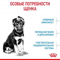 Royal Canin Maxi Puppy Корм сухой для щенков крупных размеров в возрасте до 15 месяцев
