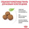 Royal Canin Maxi Puppy Корм сухой для щенков крупных размеров в возрасте до 15 месяцев