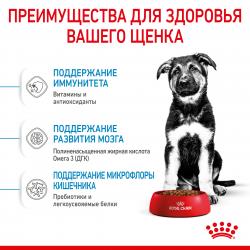 Royal Canin Maxi Puppy Корм сухой для щенков крупных размеров в возрасте до 15 месяцев