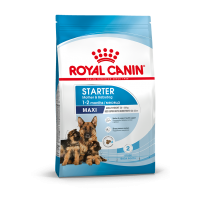 Royal Canin Maxi Starter Корм для щенков крупных пород до 2-х месяцев, беременных и кормящих сук