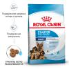 Royal Canin Maxi Starter Корм для щенков крупных пород до 2-х месяцев, беременных и кормящих сук